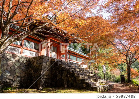 神護寺 神護寺 59987488