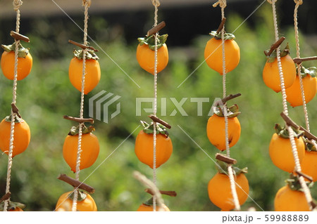 干し柿を作ろう 59988889