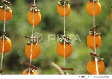 干し柿を作ろう 干し柿を作ろう 59988890