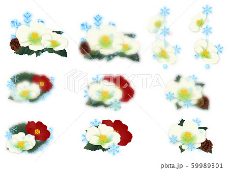 椿の花とガラスと雪の結晶イラストセット素材のイラスト素材