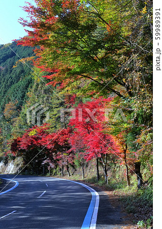 久万高原町　もみじライン（愛媛県） 59989391