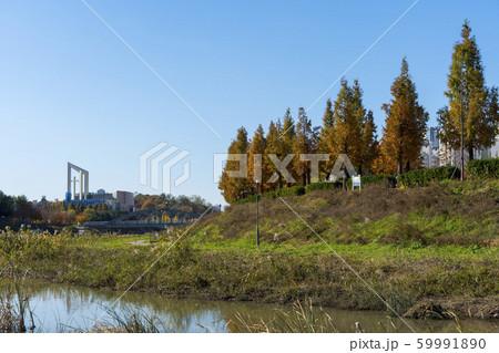 風景 秋 紅葉 59991890