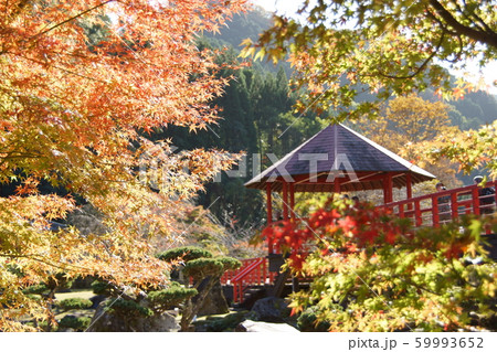 紅葉の中の朱の東屋 59993652