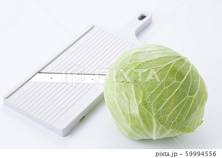 キャベツ 59994556