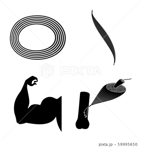 Isolated object of human and body logo. Set of human and cells vector icon for stock. Isolated object of human and body logo. Set of human and cells vector icon for stock. 59995650