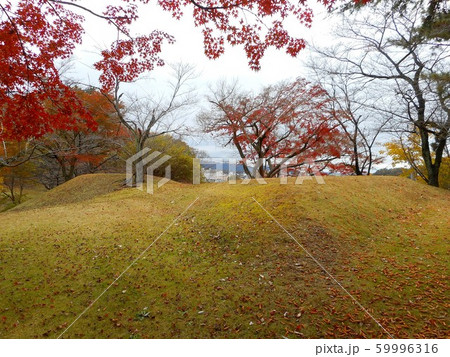 足利公園　3号墳 59996316