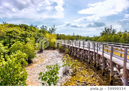 宮古島　(11月　沖縄) 59999334