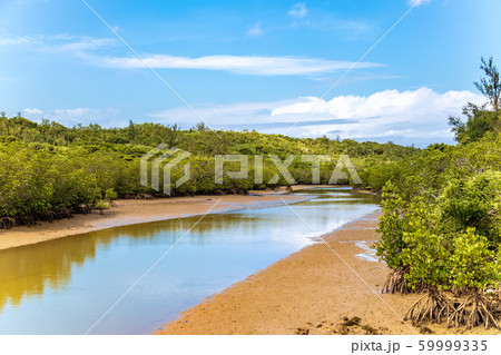 宮古島 (11月 沖縄) 宮古島 (11月 沖縄) 59999335