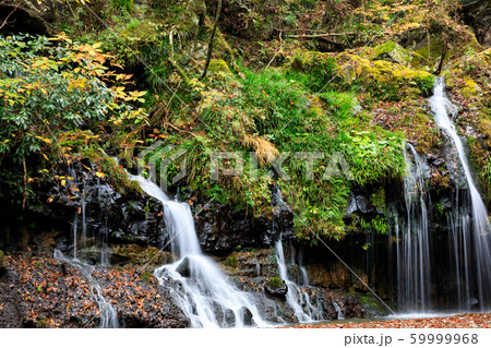 陣馬の滝（晩秋） 59999968