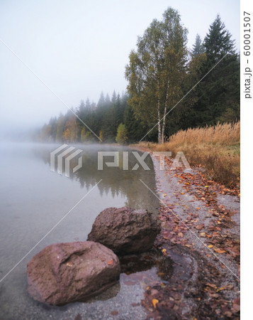 Autumn landscape in the mountains with trees Autumn landscape in the mountains with trees 60001507