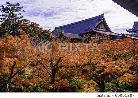 （京都）燃える紅葉、東福寺・方丈 60001887