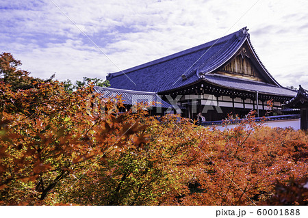 (京都)燃える紅葉、東福寺・方丈 (京都)燃える紅葉、東福寺・方丈 60001888