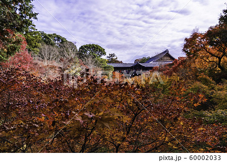 （京都）洗玉澗の燃える紅葉、東福寺・通天橋 60002033