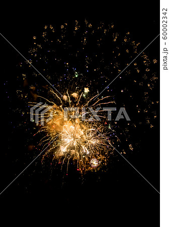 Celebration With Bright Colorful Fireworks Over Black Sky 60002342