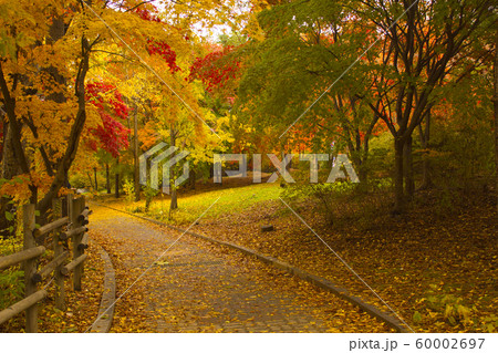秋 公園 自然 60002697