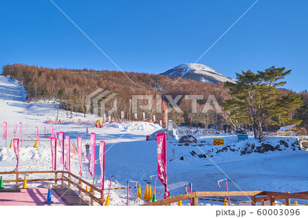 冬の長野県蓼科の白樺高原国際スキー場ゲレンデと蓼科山 60003096