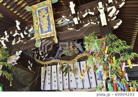 北野天満宮 三光門(中門) 北野天満宮 三光門(中門) 60004203