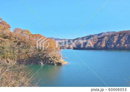 九頭竜湖の紅葉の写真素材