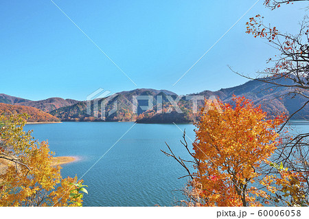 九頭竜湖の紅葉 九頭竜湖の紅葉 60006058