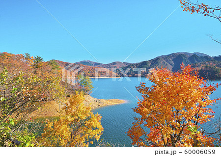 九頭竜湖の紅葉の写真素材