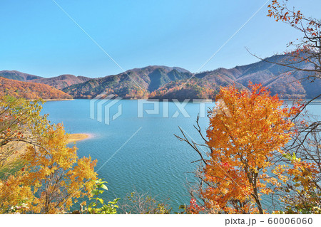 九頭竜湖の紅葉の写真素材