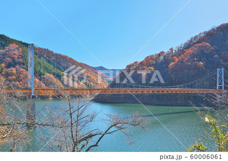 九頭竜湖の紅葉の写真素材