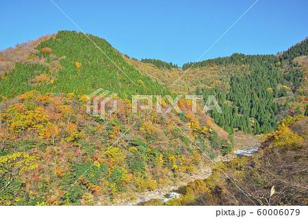 九頭竜湖の紅葉の写真素材