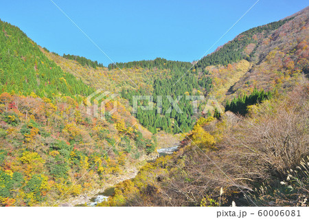 九頭竜湖の紅葉 60006081