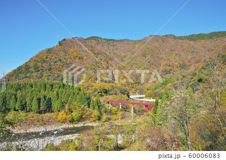 九頭竜湖の紅葉 九頭竜湖の紅葉 60006083