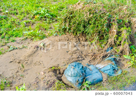 令和元年台風第19号が過ぎ去った一週間後の多摩川河川敷 令和元年台風第19号が過ぎ去った一週間後の多摩川河川敷 60007043