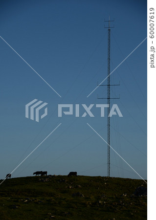 四国カルストのアンテナ塔と黒牛たち 60007619