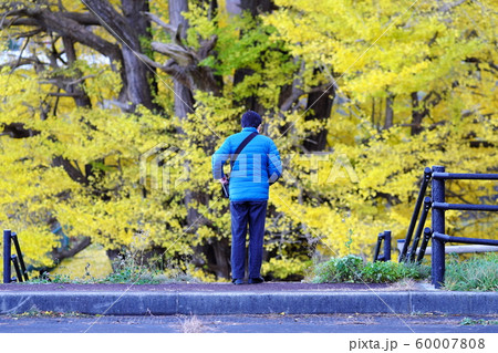 深浦の巨樹　折曽のイチョウ 60007808