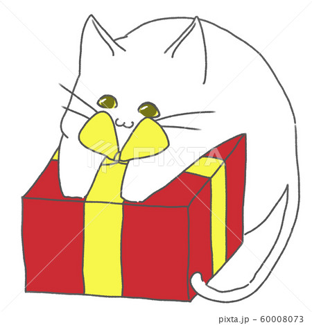 ネコとプレゼント 白猫 金の瞳 のイラスト素材