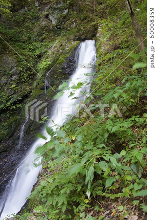 天滝への登山道(鼓ヶ滝)(兵庫県養父市) 天滝への登山道(鼓ヶ滝)(兵庫県養父市) 60008359