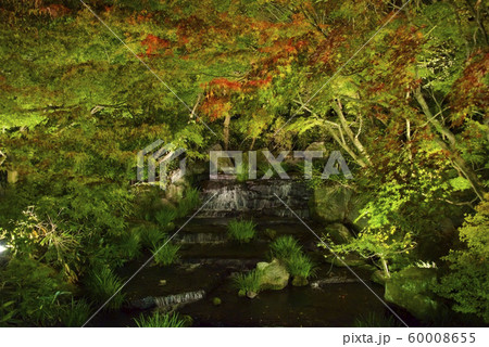 好古園の紅葉（兵庫県姫路市） 60008655