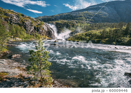 Kinsarvik, Hordaland, Norway. Waterfall Nykkjesoyfossen In Hardangervidda Mountain Plateau. Summer Sunny Day. Height Of 49 m. Famous Norwegian Landmark And Popular Destination Kinsarvik, Hordaland, Norway. Waterfall Nykkjesoyfossen In Hardangervidda Mountain Plateau. Summer Sunny Day. Height Of 49 m. Famous Norwegian Landmark And Popular Destination 60009446