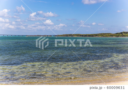 宮古島 (11月 沖縄 海) 宮古島 (11月 沖縄 海) 60009631