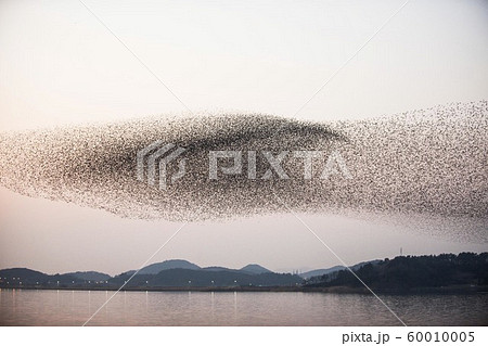 夕焼け 夕日 湖 60010005