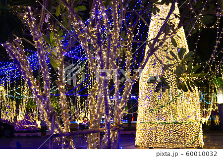 Decorative outdoor string lights hanging on tree Decorative outdoor string lights hanging on tree 60010032