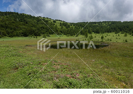 鏡池（池の平湿原） 60011016