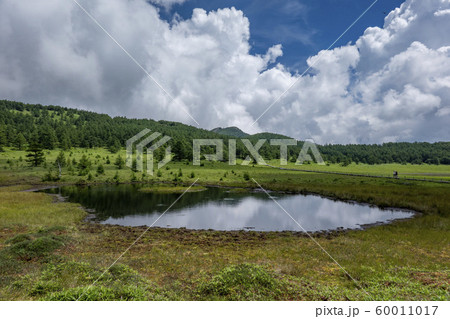 鏡池（池の平湿原） 60011017