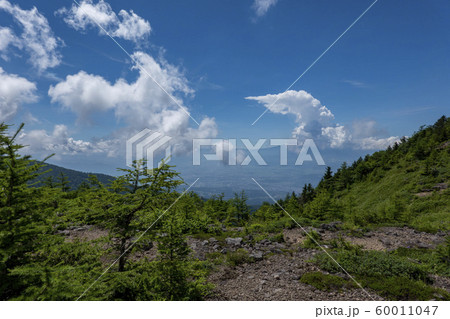 池の平湿原 60011047
