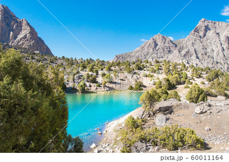 Summer mountains. Scenic landscape of mountain 60011164