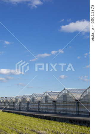 ビニールハウス 60011378