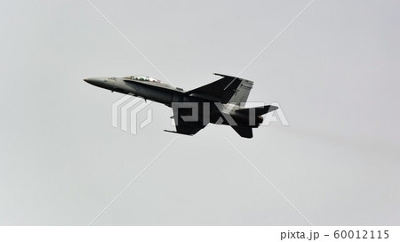 アメリカ海兵隊のFA-18D戦闘攻撃機 アメリカ海兵隊のFA-18D戦闘攻撃機 60012115