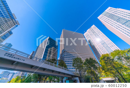 日本の東京都市景観 霞が関の超高層ビル群などを望む 日本の東京都市景観 霞が関の超高層ビル群などを望む 60012250