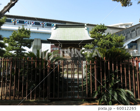 横浜市金沢区の琵琶島神社 横浜市金沢区の琵琶島神社 60012265