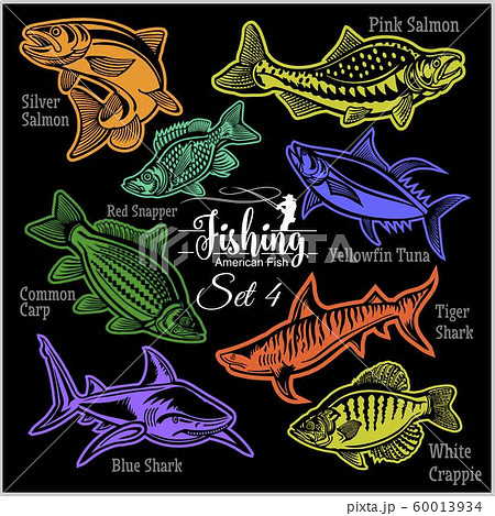 American Fish - vector set 4 for creative design, t-shirt, badge and logo. Isolated on black. 60013934