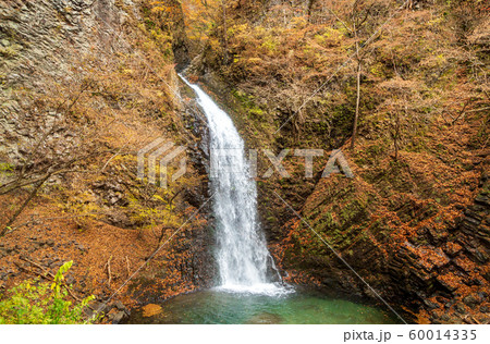 紅葉の六合の世立八滝　大仙の滝 60014335