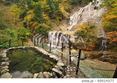 秋の白山白川郷ホワイトロード　姥ヶ滝と露天風呂 60014377